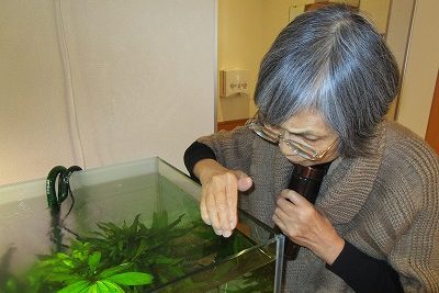 イメージ：マナちゃんのお食事タイム