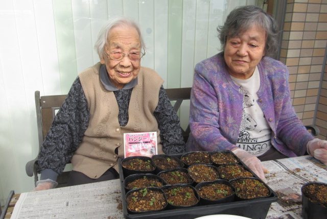 イメージ：春よ来い！　～パンジーを咲かせよう～