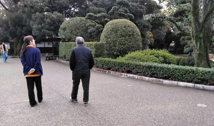 イメージ：いつもの道