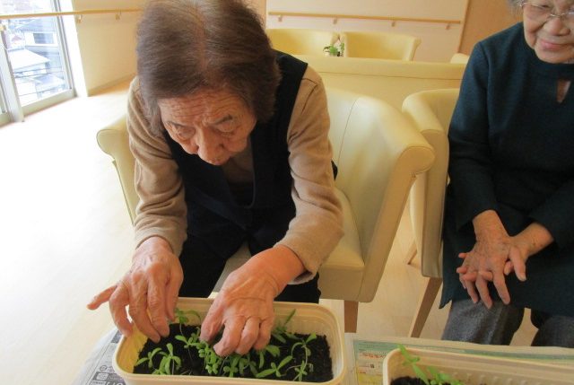 イメージ：昔取った杵柄