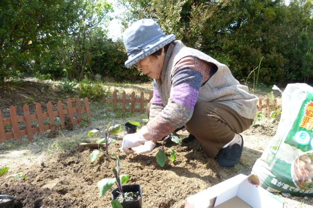 イメージ：菜園