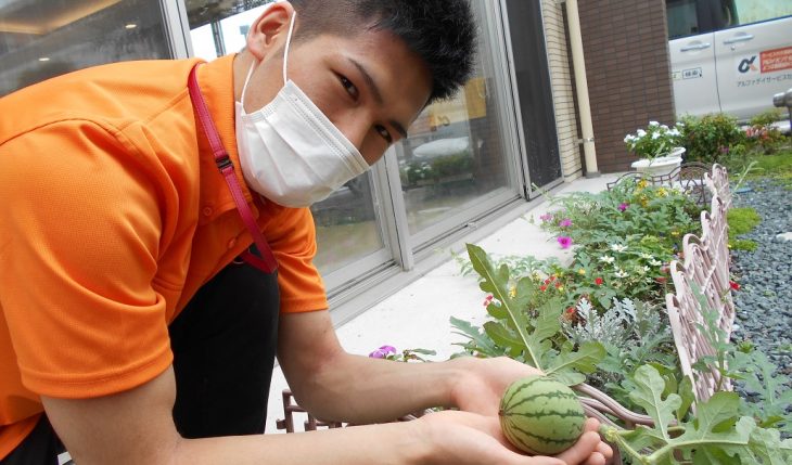 イメージ：夏のお楽しみ