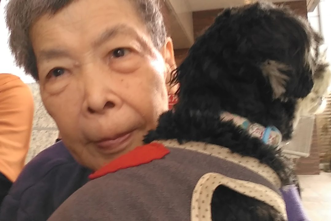 イメージ：想いの実現