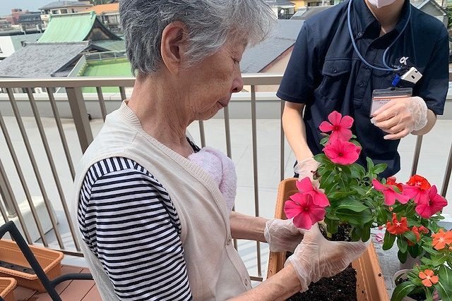 イメージ：おおうら園芸部
