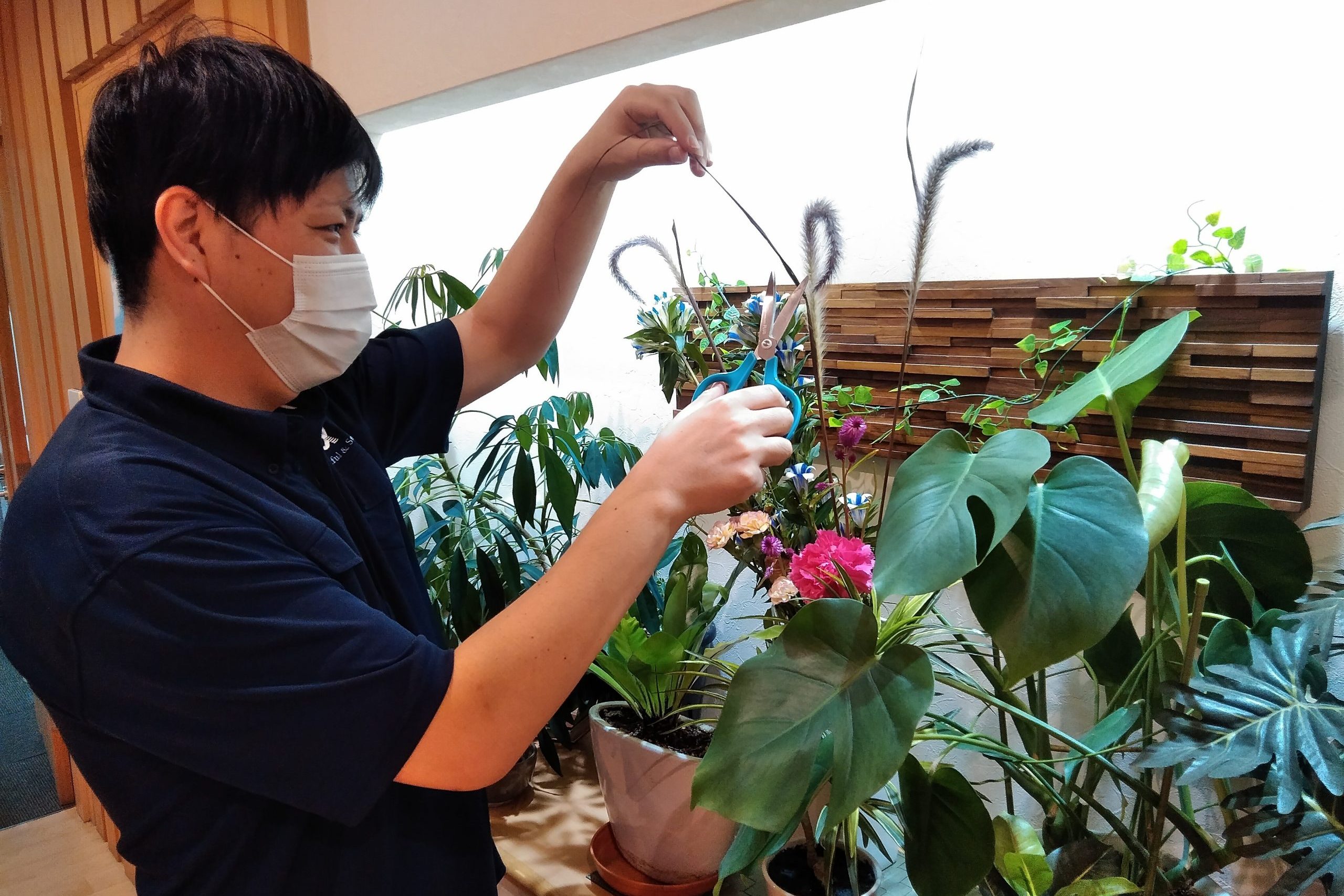 イメージ：緑の癒し