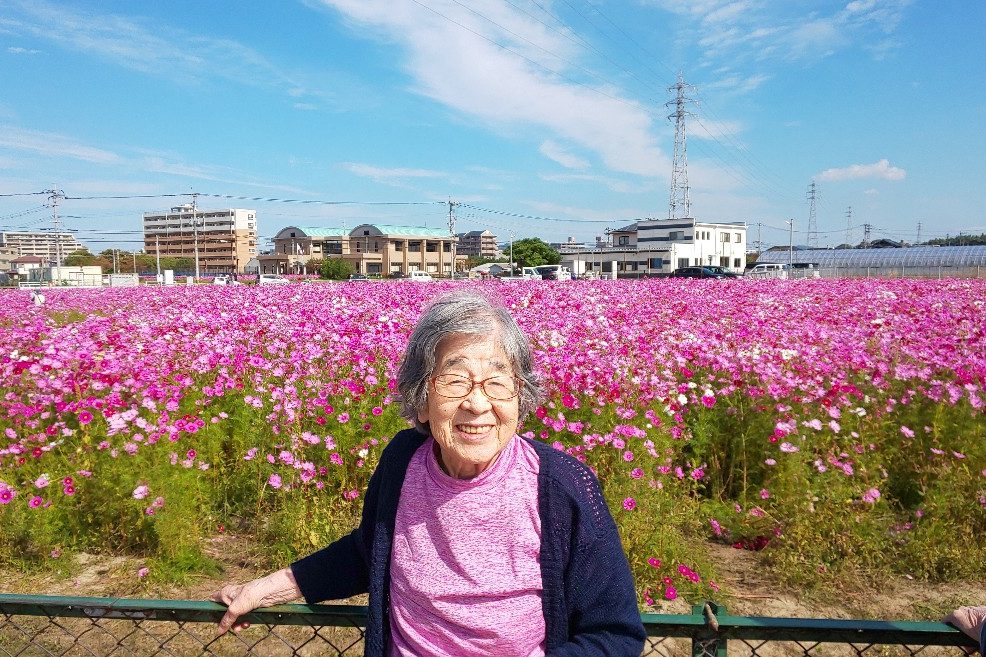 イメージ：満開の秋桜の中で