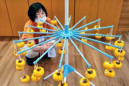 イメージ：先人の智恵から生まれたドライフルーツ