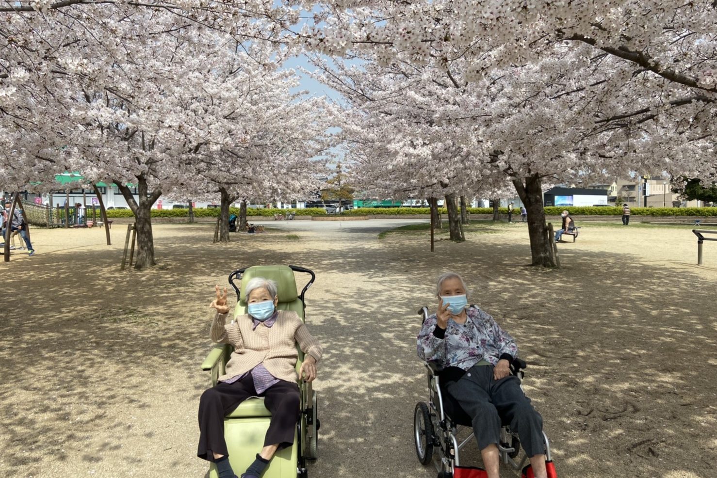 イメージ：お部屋の中にもさくら咲く