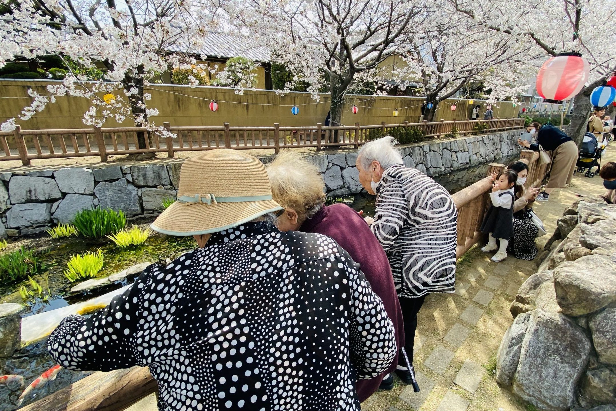 イメージ：桜満開の中でのお花見