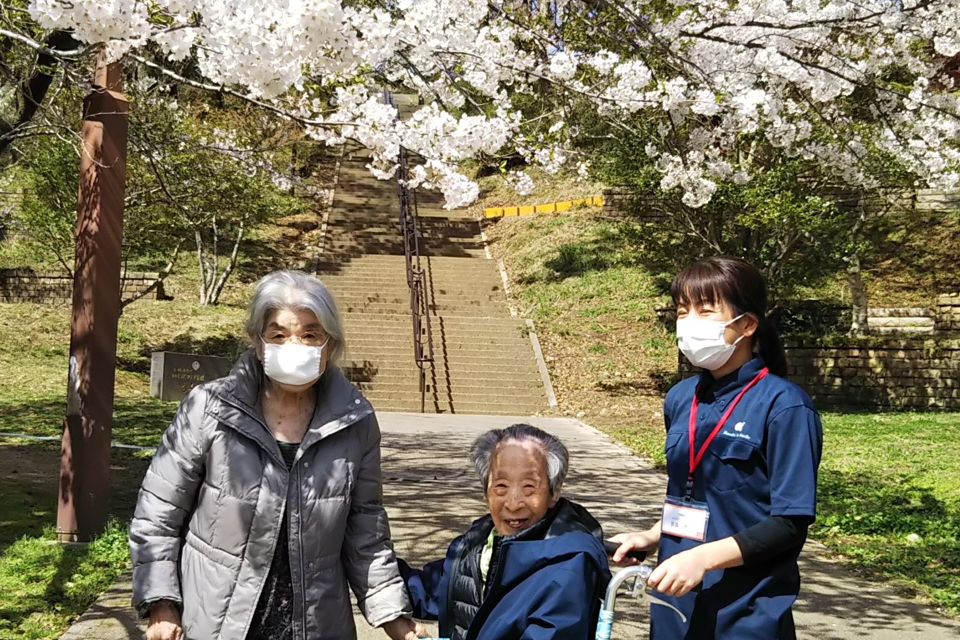 イメージ：稲佐山公園へお花見ドライブ