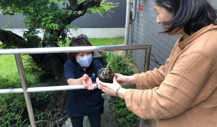 イメージ：植物のお引越し