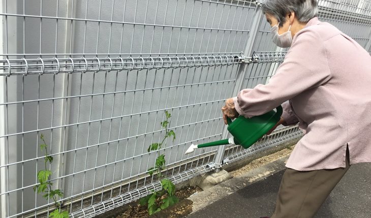 イメージ：アルファ農園　夏の収穫