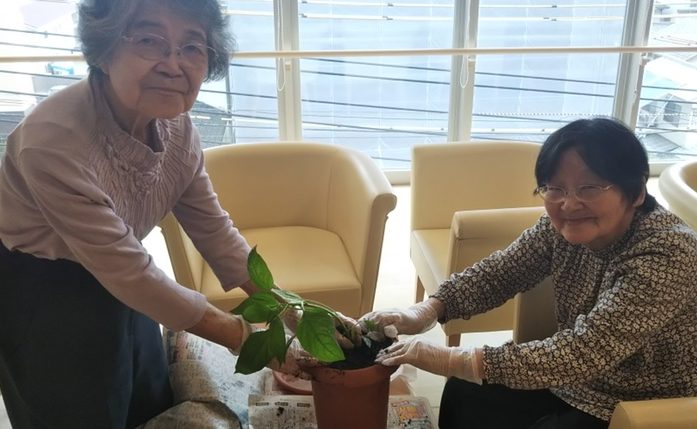 イメージ：今年も夏野菜の栽培を楽しみたい！