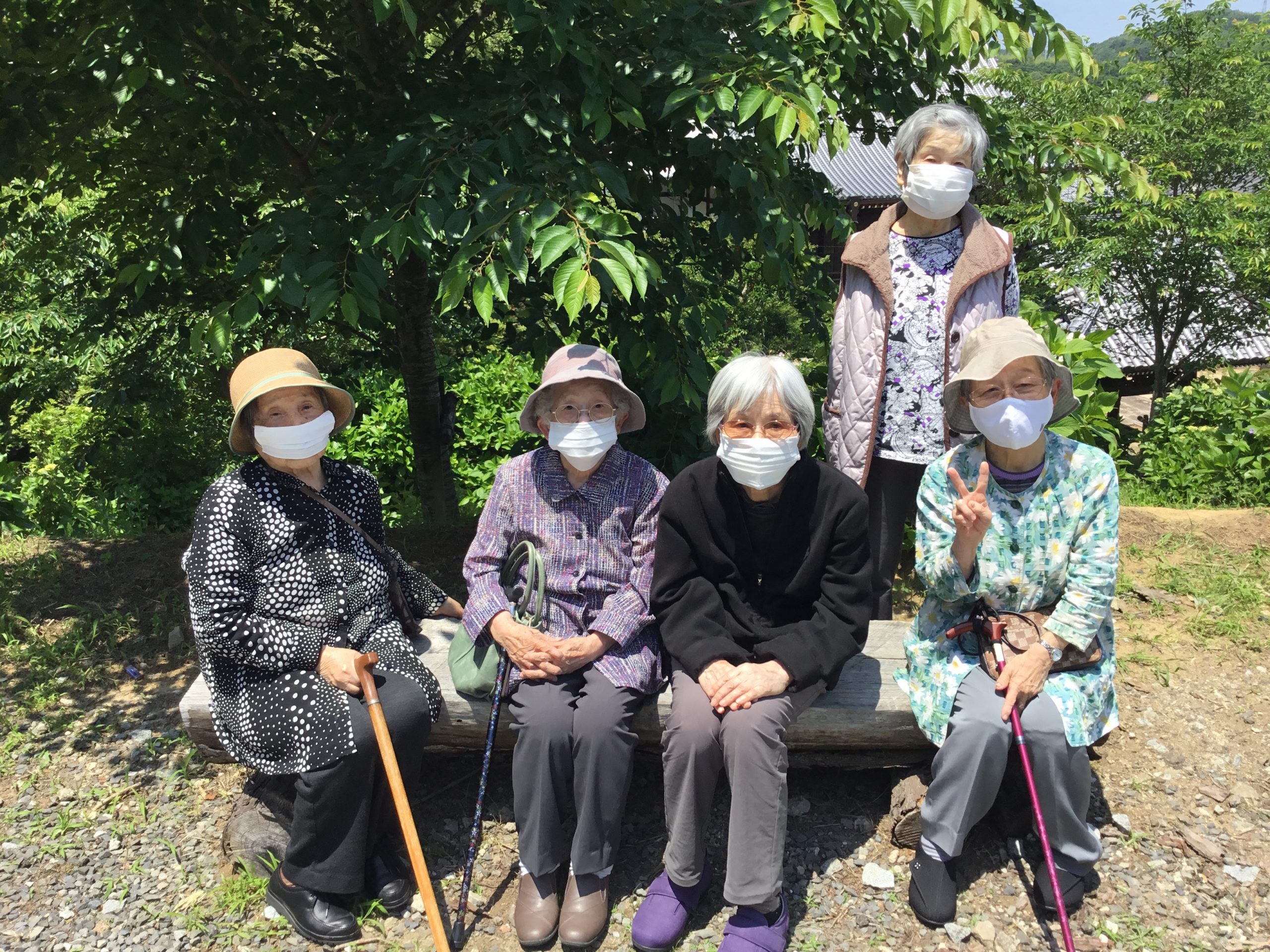 イメージ：アジサイが楽しめる勝名寺へ