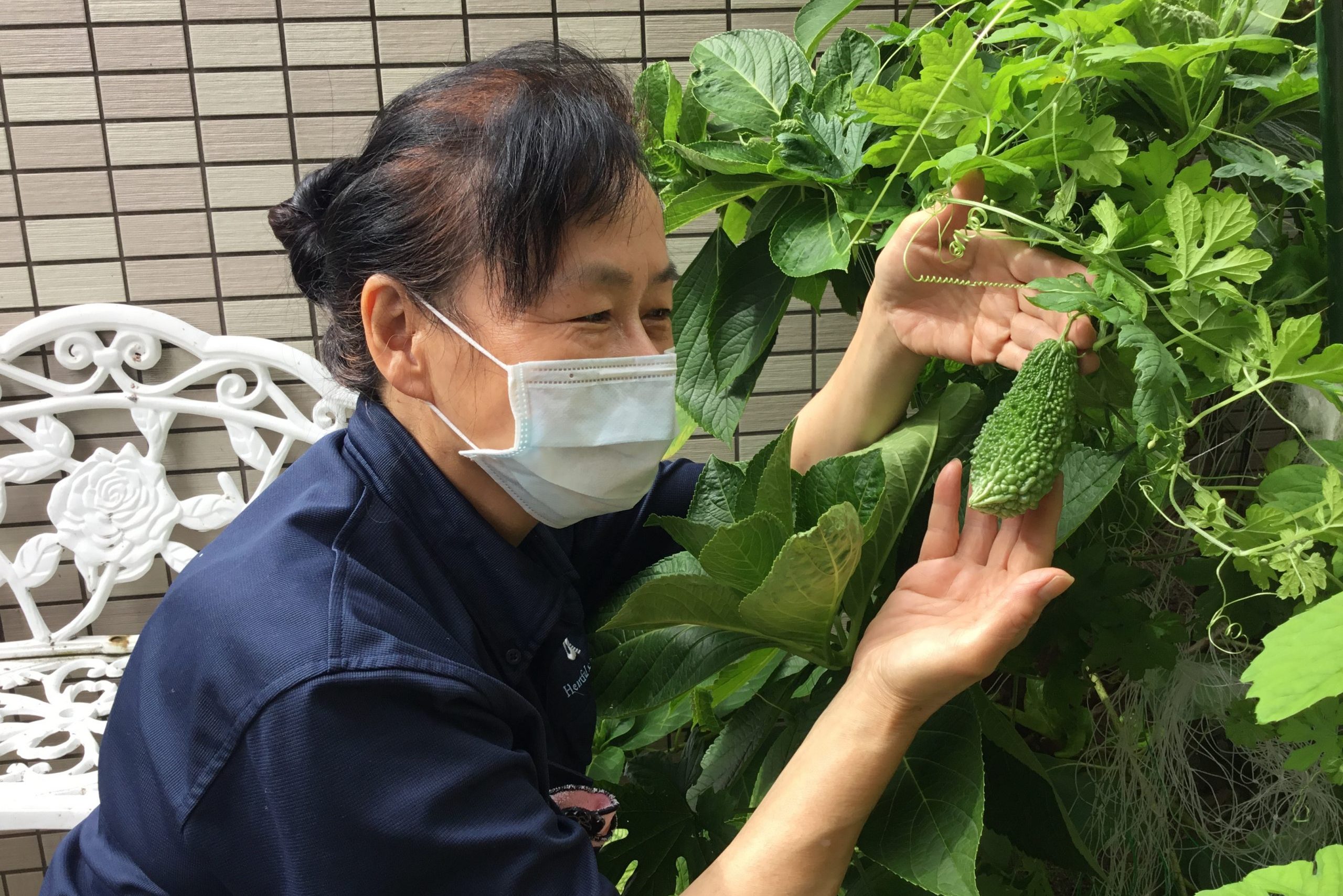 イメージ：SDGsを考える百間町農園