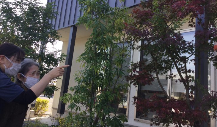 イメージ：小さい秋みっけ！！