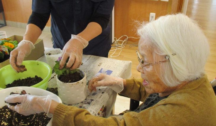 イメージ：お花の植え替え