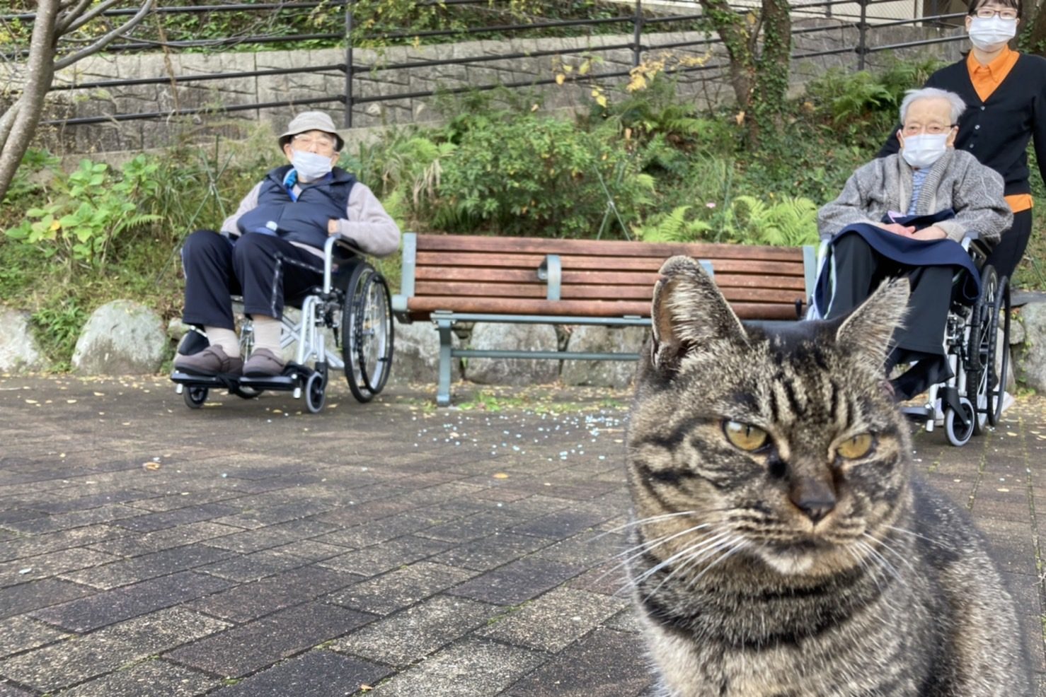 イメージ：お散歩イベントの様子