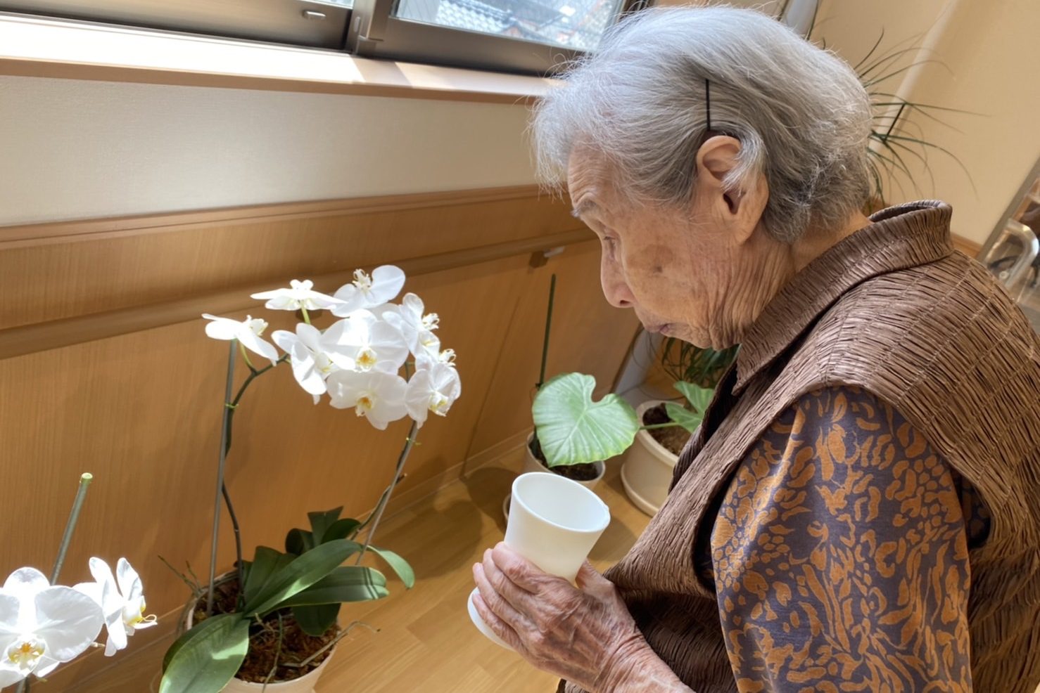 イメージ：平和への祈り