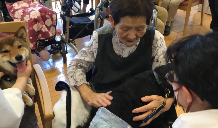 イメージ：アニマルセラピー ～動物はもちろん学生さんとふれあうことで得られること～