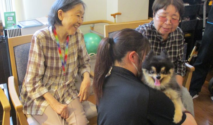 イメージ：動物たちとのふれあい