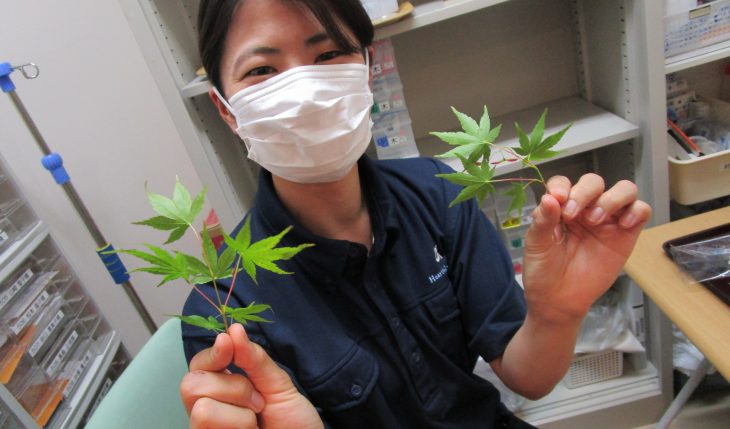 イメージ：もうすぐ産休はいりま～す！