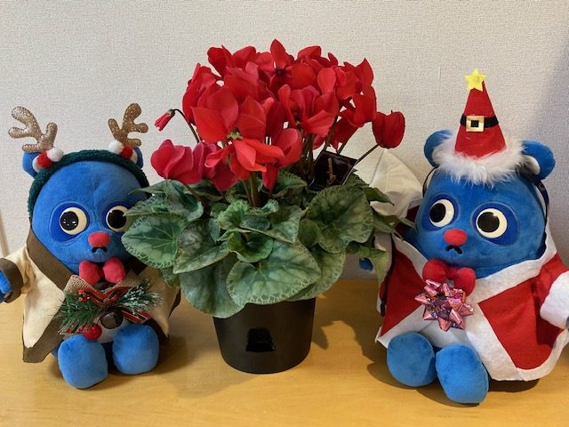 イメージ：あーなちゃんサンタになる！！